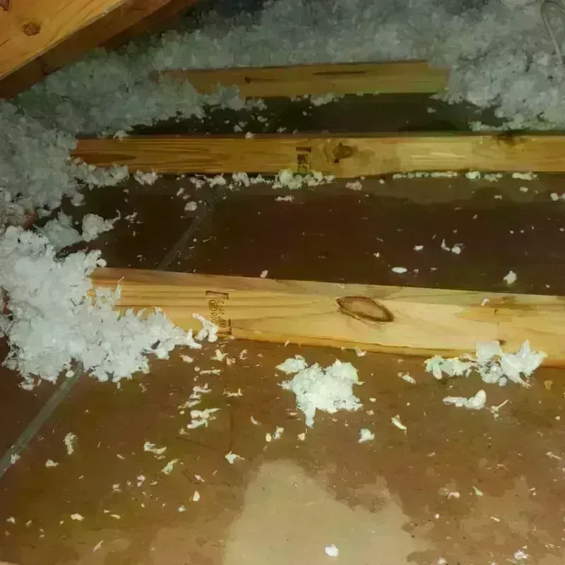 Attic Water Damage in Cameron, MO