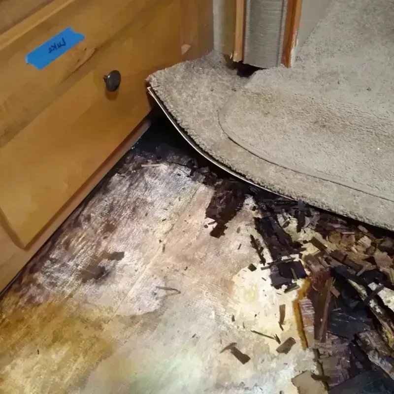 Wood Floor Water Damage in Cameron, MO